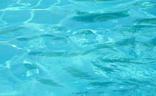 Swimming Pool Water