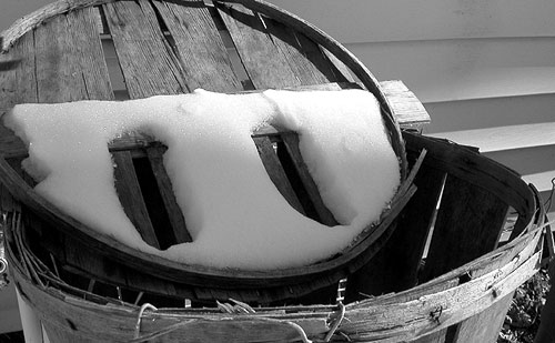 Basket in the Snow